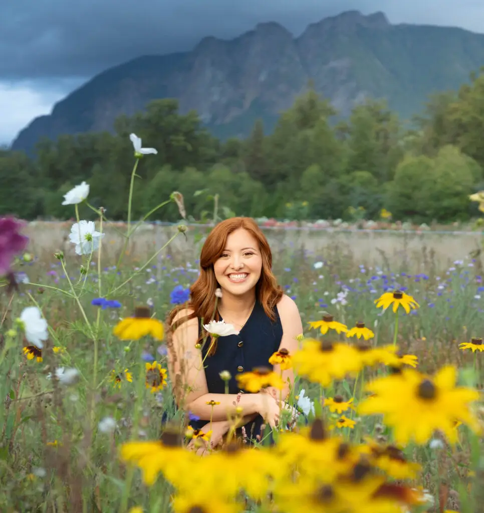 sunflower photo